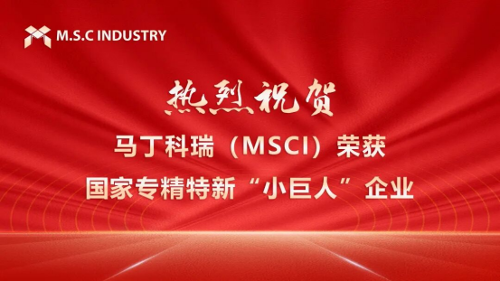 喜讯｜我司成功获评国家级专精特新 “小巨人” 企业，再启高质量发展新征程！